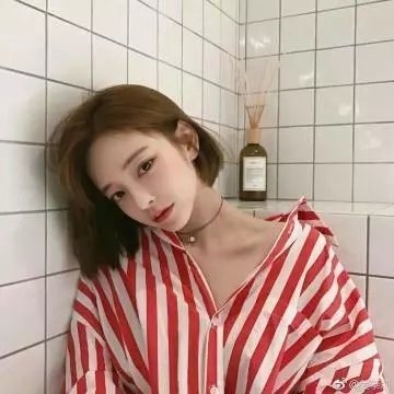 天灵盖